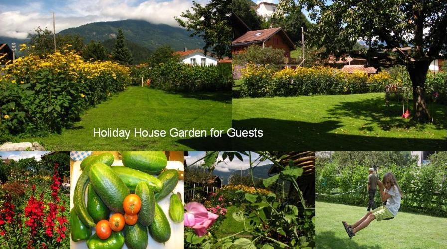 Swiss Holiday House Wilderswil Esterno foto